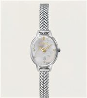 Montre Alviero Martini Femme Symi in Acier 1702931
